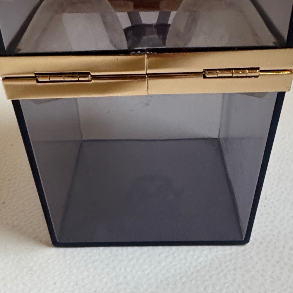 Transparent Box Clutch with Gold Accent - Picture 8 of 14